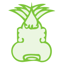 Ayuntamiento de Metepec